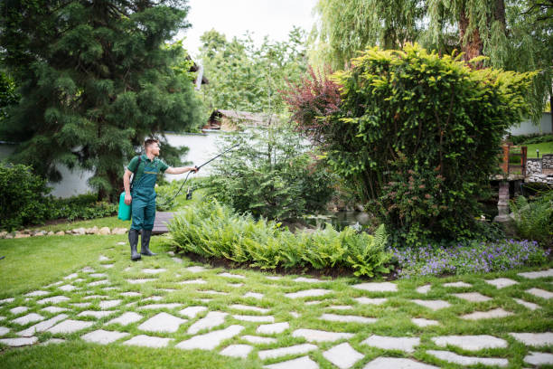 Best Lawn Pest Prevention  in Gratton, VA