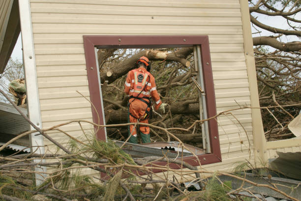 Best Storm Damage Tree Cleanup  in Gratton, VA